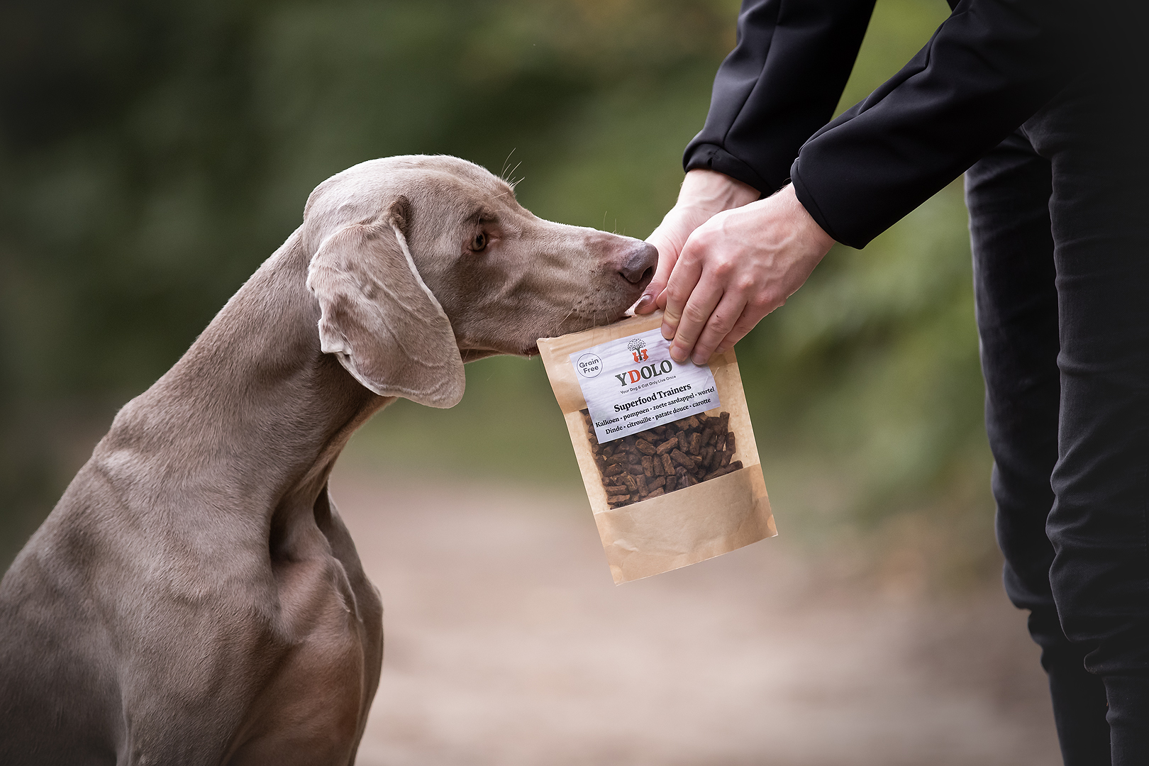 Image YDOLO | La nourriture pour chiens la plus saine du marché européen