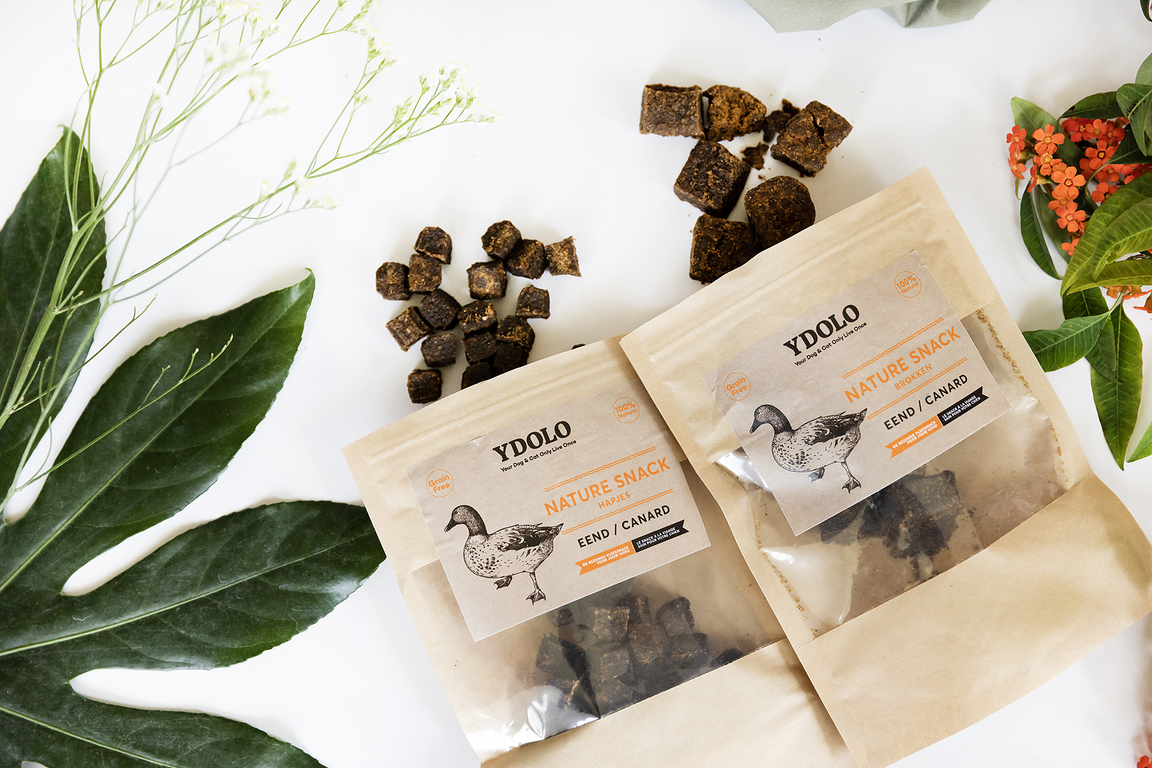 Image YDOLO | The Healthiest Dog Food on the European Market