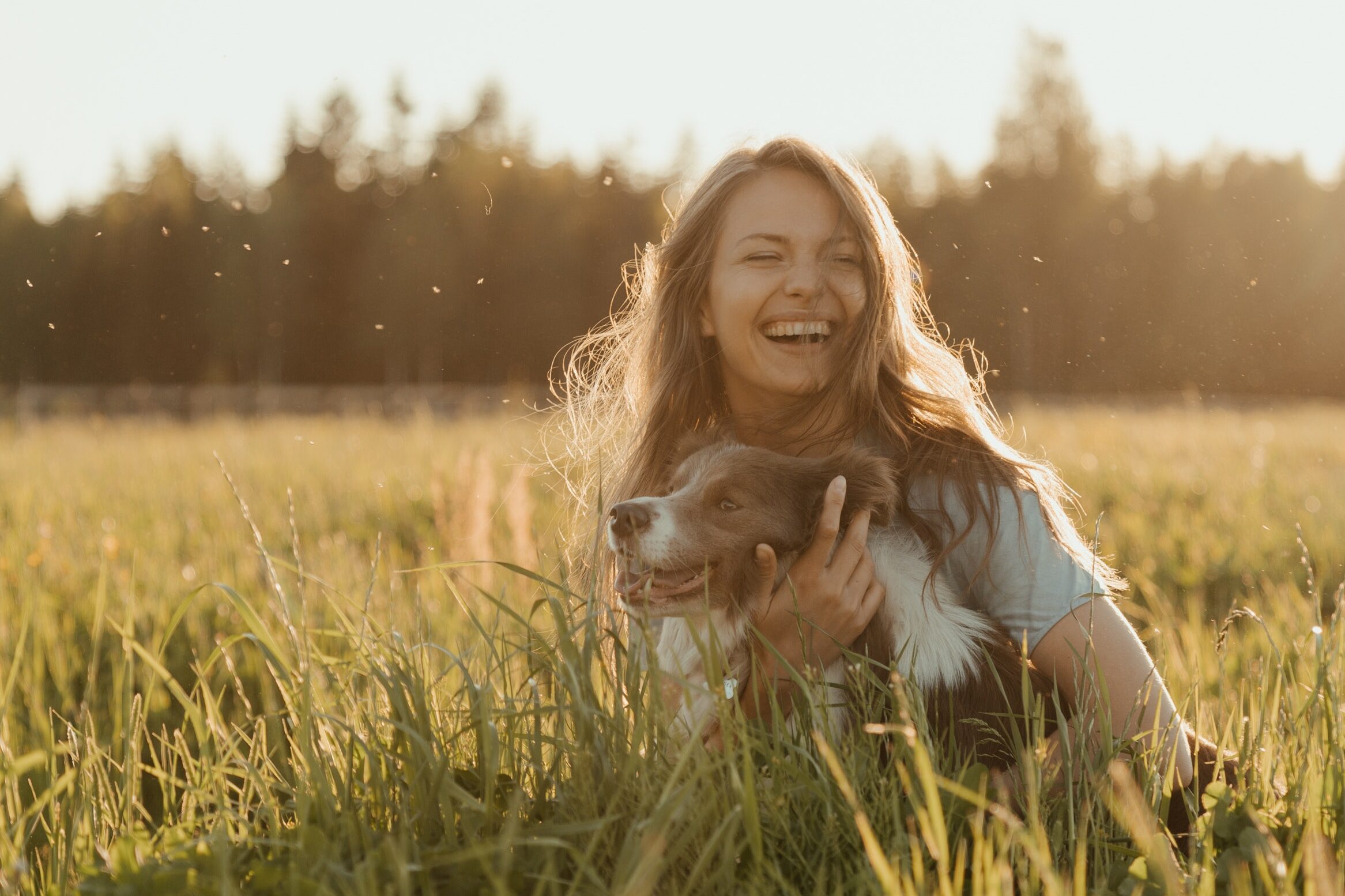 Image YDOLO | La nourriture pour chiens la plus saine du marché européen